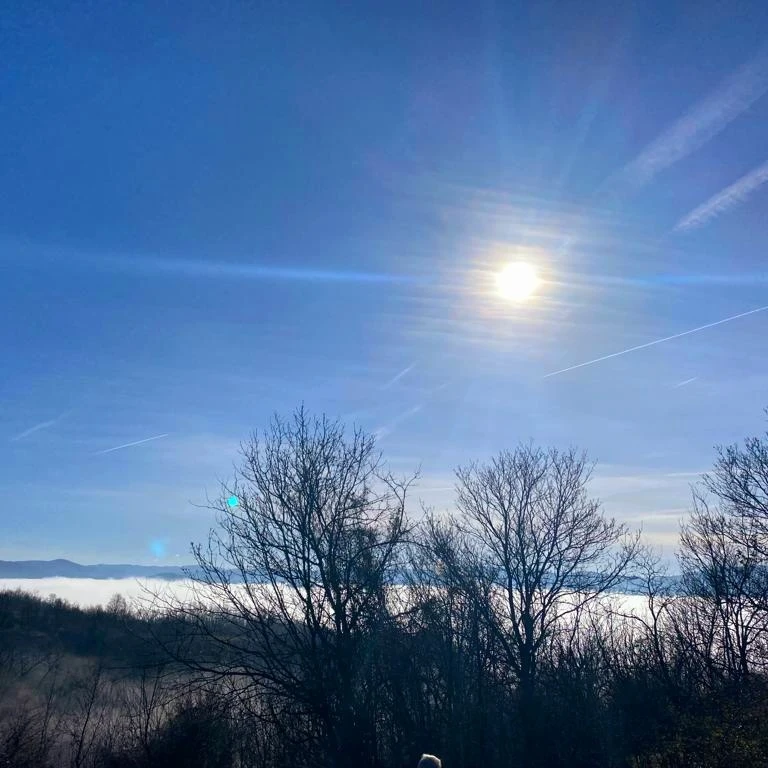 IMG_20240102_185004_132.jpg IMG_20240102_185004_132.jpg